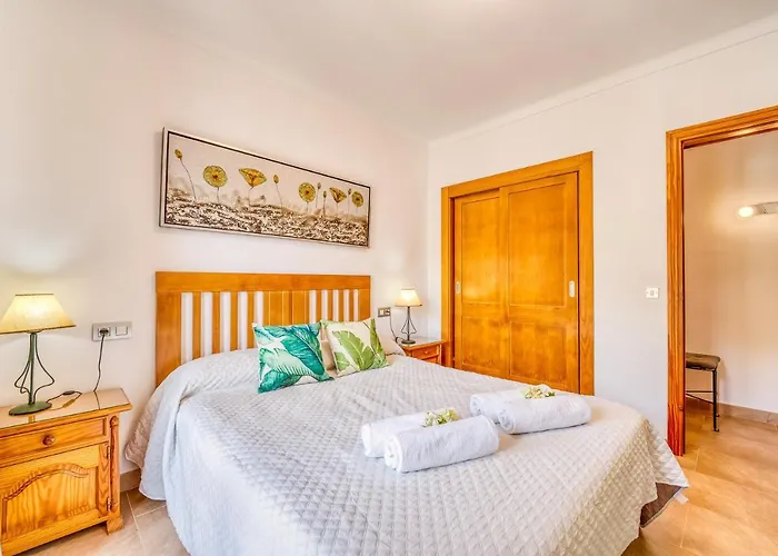 Ideal Mallorca - Pintor